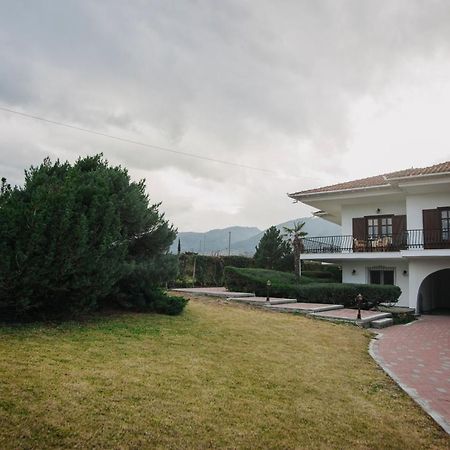 Mythic House Villa Leptokarya  Bagian luar foto